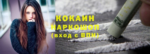 шишки Арсеньев