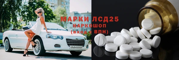 шишки Арсеньев