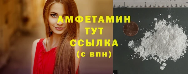 шишки Арсеньев
