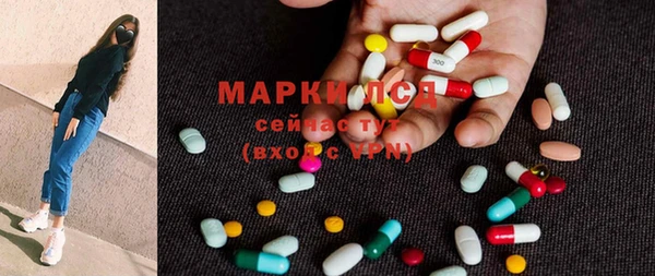 шишки Арсеньев