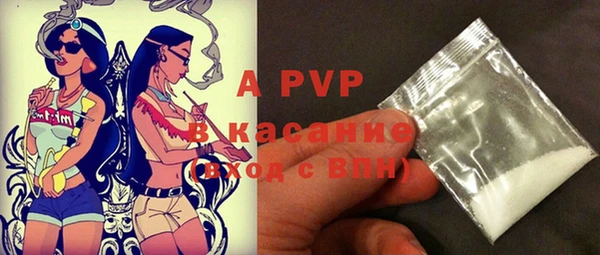 шишки Арсеньев