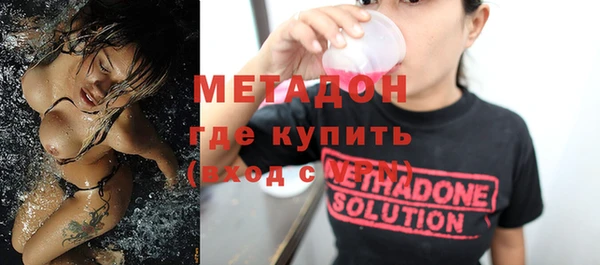 шишки Арсеньев
